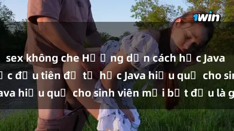 sex không che Hướng dẫn cách học Java cho sinh viên: Bước đầu tiên để tự học Java hiệu quả cho sinh viên mới bắt đầu là gì?